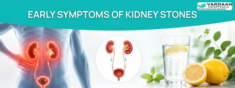 7 Kidney Stone Early Symptoms You Should Never Ignore