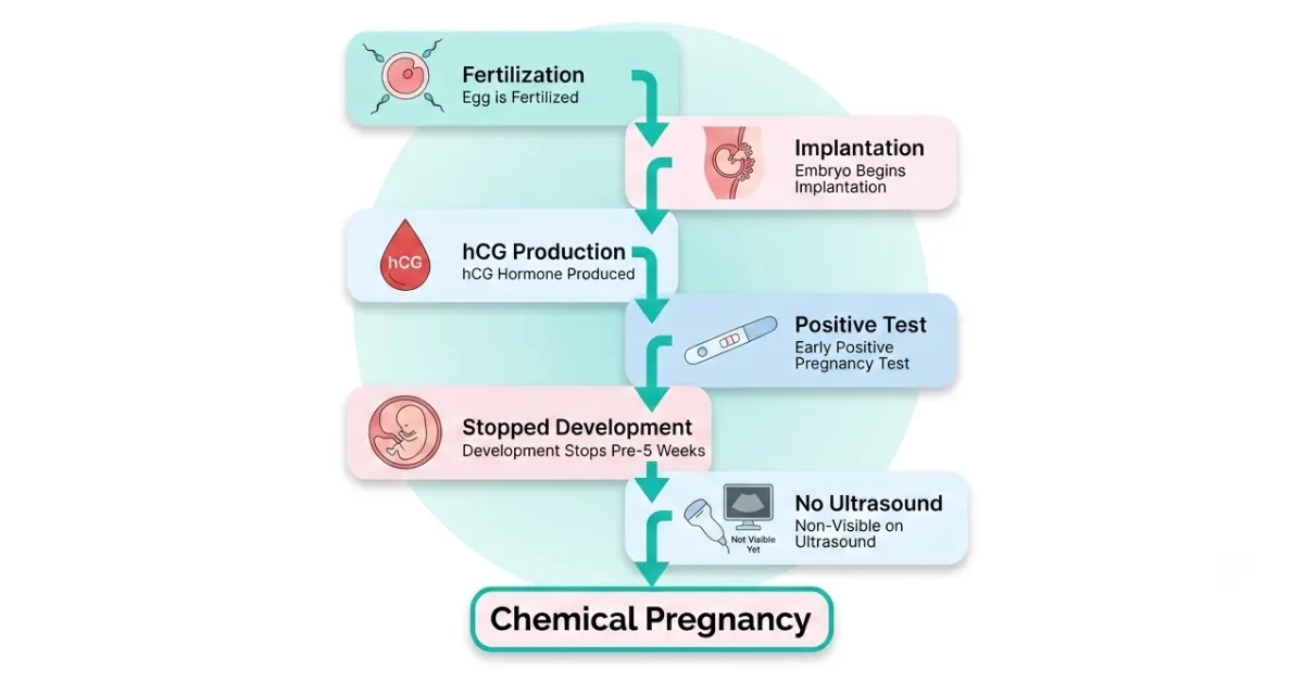 Chemical Pregnancy Meaning
